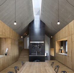 1-Chimney-House-dekleva-gregoric-architects-credits-photos-Flavio-Coddou