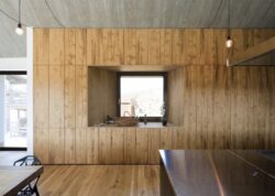 3-Chimney-House-dekleva-gregoric-architects-credits-photos-Flavio-Coddou