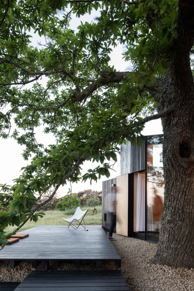 Chestnut house par Joao Mendes Ribeiro architecture - Vale-flor, Portugal - photo Jose Campos