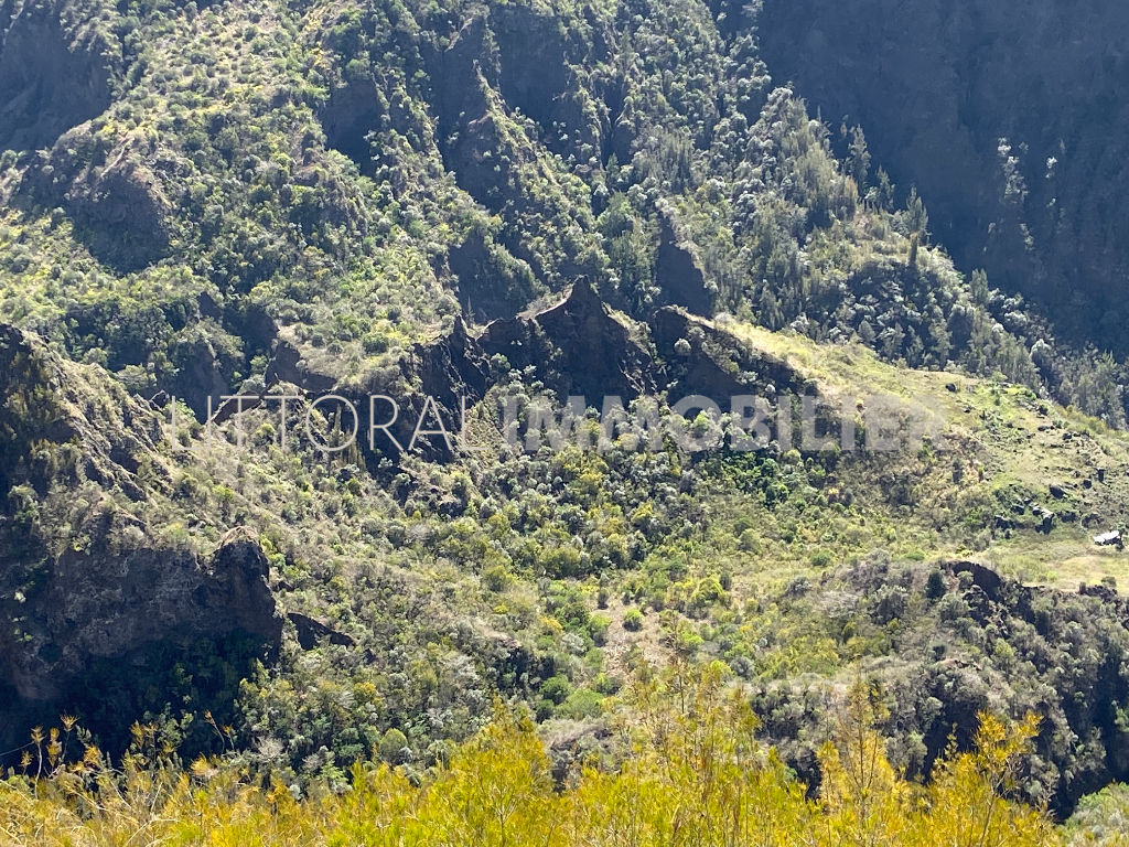 Vivre plus simplement près de la nature à la Réunion