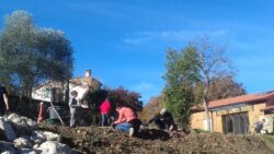 Plantation d'arbres avec l'association Arbres et Paysages d'Antant- Mas Coop | Beaumont-sur-Lèze