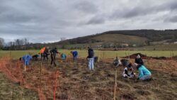 Plantation d'une mini forêt - Mas Coop | Beaumont-sur-Lèze