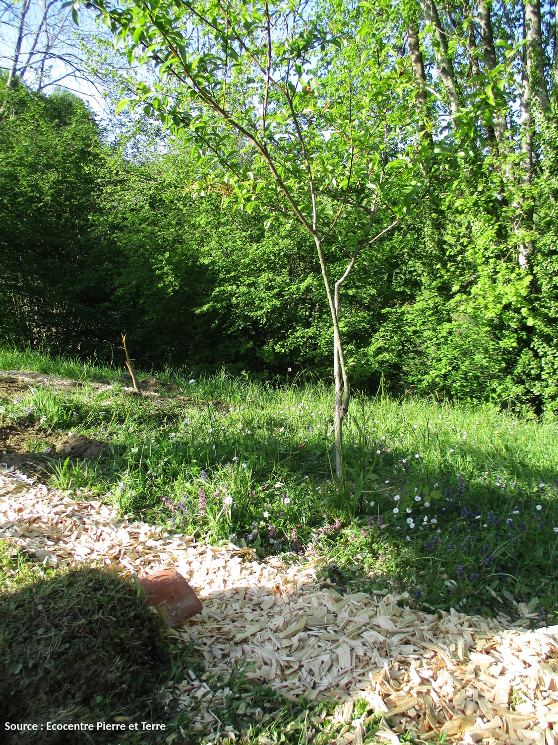 Formation à l’assainissement écologique