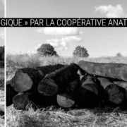 Conférence : « L’habitat écologique » BTPP : Bois, Terre, Paille, Pierre par Anatomies d’Architecture – CAUE 72- Requeil (FR-72)