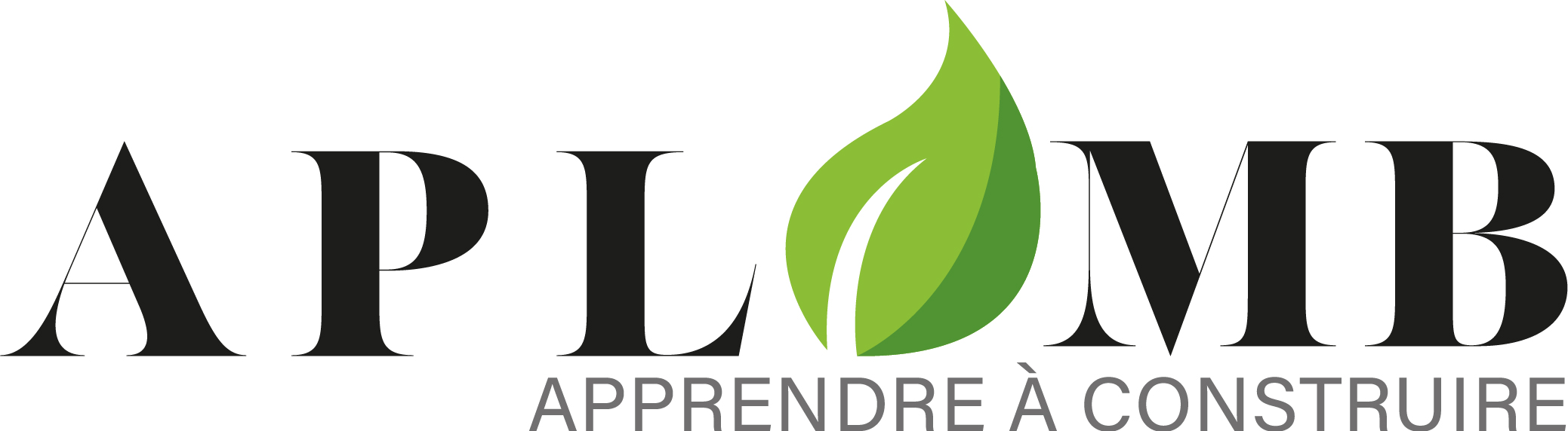 Charpentier.e de bois vert (38)
