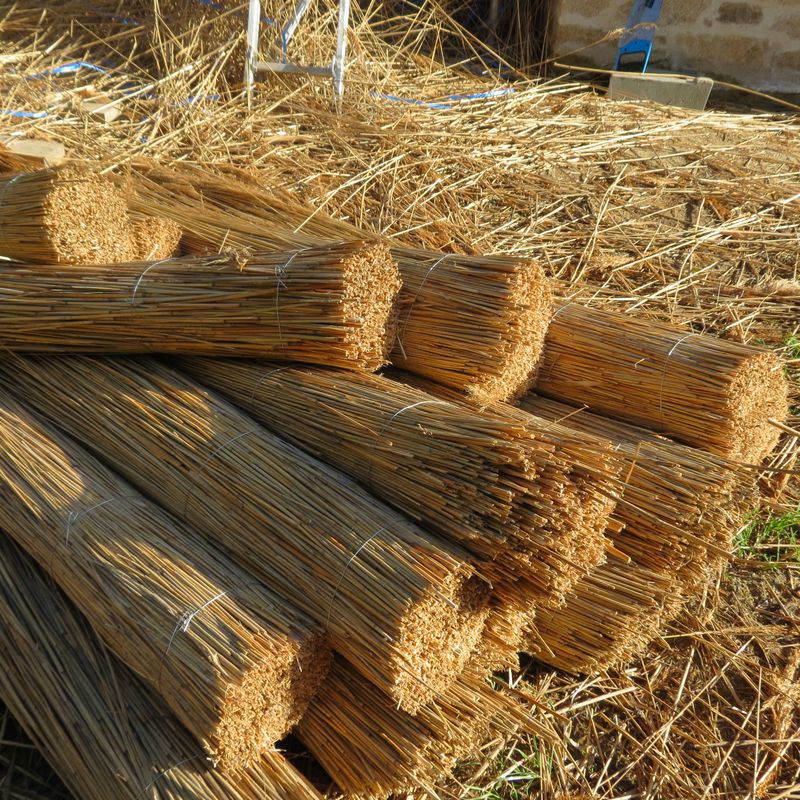 1 Paquet Couverture Froide Pour Plantes Couverture Végétale - Temu France