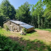 Maison et dépendance sur 7 HA en bio dans l’Hérault