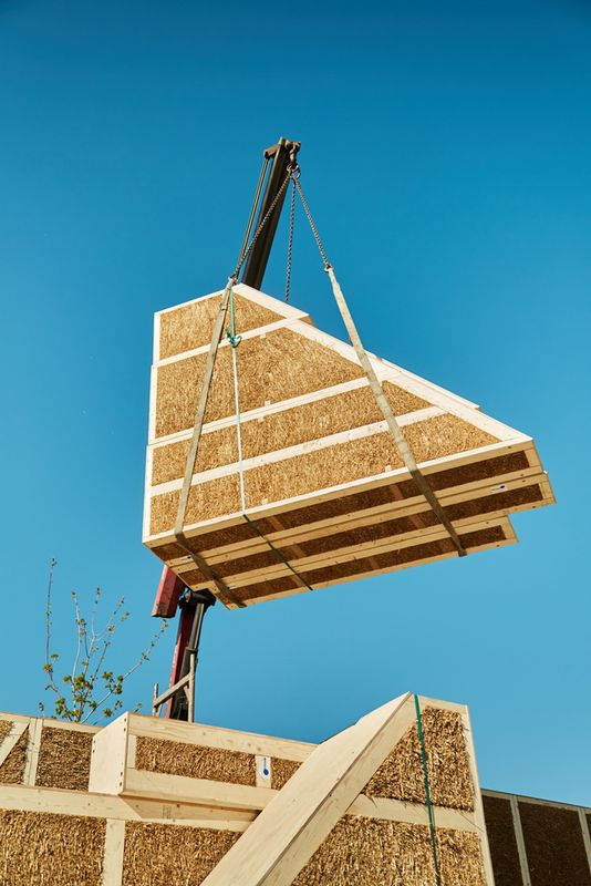 Architecture De Récolte: Un Aperçu De 3 Matériaux À Base De Plantes. Image EcoCocon