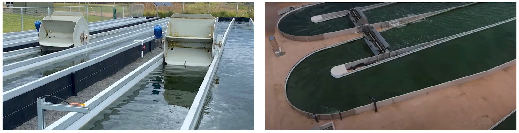 RegenAqua à Picton (Australie), avec Pacific Bio.
